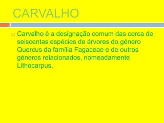CARVALHO
 Carvalho é a designação comum das cerca de
seiscentas espécies de árvores do género
Quercus da família Fagaceae e de outros
géneros relacionados, nomeadamente
Lithocarpus.
 