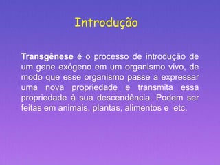 Introdução
Transgênese é o processo de introdução de
um gene exógeno em um organismo vivo, de
modo que esse organismo passe a expressar
uma nova propriedade e transmita essa
propriedade à sua descendência. Podem ser
feitas em animais, plantas, alimentos e etc.
 