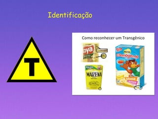 Identificação
 