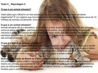 Texto 4 _ Reportagem 2
O que é um animal silvestre?
Você sabia que o Brasil é um dos países do mundo que mais exporta animais silvestres
ilegalmente? É um negócio que movimenta mais de 1 bilhão de dólares e comercializa cerca de 12
milhões de animais anualmente. Uma das maiores ameaças à natureza.
O que é um animal silvestre?
Animal silvestre não é o doméstico. O doméstico já está acostumado a viver perto das pessoas,
como os gatos, cachorros, galinhas e porcos, entre outros. Já o animal silvestre foi tirado da
natureza e reage à presença do ser humano. Por essa razão, tem dificuldades para crescer e se
reproduzir em cativeiro. O papagaio, a arara, o mico e o jabuti, ao contrário do que muitos pensam,
são animais silvestres.
O que é o tráfico de animais silvestres?
Tráfico é o comércio ilegal. Traficar animais significa capturá-los na natureza, prendê-los e vendê-
los com o objetivo de ganhar dinheiro. Se participamos disso, estamos contribuindo para o tráfico
de animais. Acredita-se que o comércio ilegal de animais movimente cerca de 10 bilhões de
dólares por ano em todo o mundo. Só o tráfico de drogas e armas é maior.
Qual a participação do Brasil no tráfico internacional de animais?
Há uma relação entre o tráfico nacional e o internacional: o Brasil possui um grande comércio
interno de animais, que sustenta os traficantes que agem no país e servem como intermediários
para os traficantes internacionais. Se o tráfico interno diminuir, o número de animais brasileiros
levados para o exterior também será menor.
 