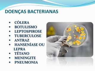DOENÇAS BACTERIANAS 
 CÓLERA 
 BOTULISMO 
 LEPTOSPIROSE 
 TUBERCULOSE 
 ANTRAZ 
 HANSENÍASE OU 
LEPRA 
 TÉTANO 
 MENINGITE 
 PNEUMONIA 
 