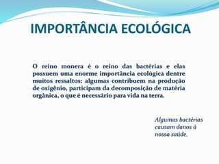 IMPORTÂNCIA ECOLÓGICA 
O reino monera é o reino das bactérias e elas 
possuem uma enorme importância ecológica dentre 
muitos ressaltos: algumas contribuem na produção 
de oxigênio, participam da decomposição de matéria 
orgânica, o que é necessário para vida na terra. 
Algumas bactérias 
causam danos à 
nossa saúde. 
