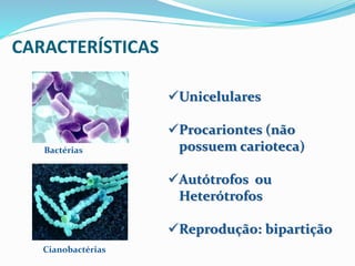 CARACTERÍSTICAS 
Bactérias 
Cianobactérias 
Unicelulares 
Procariontes (não 
possuem carioteca) 
Autótrofos ou 
Heterótrofos 
Reprodução: bipartição 
 