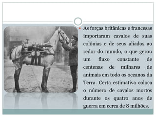Asforçasbritânicasefrancesasimportaramcavalosdesuascolôniasedeseusaliadosaoredordomundo,oquegerouumfluxoconstantedecentenasdemilharesdeanimaisemtodoosoceanosdaTerra.Certaestimativacolocaonúmerodecavalosmortosduranteosquatroanosdeguerraemcercade8milhões.  