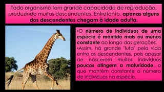 Todo organismo tem grande capacidade de reprodução, 
produzindo muitos descendentes. Entretanto, apenas alguns 
dos descendentes chegam à idade adulta. 
•O número de indivíduos de uma 
espécie é mantido mais ou menos 
constante ao longo das gerações. 
•Assim, há grande "luta" pela vida 
entre os descendentes, pois apesar 
de nascerem muitos indivíduos 
poucos atingem a maturidade, o 
que mantém constante o número 
de indivíduos na espécie. 
 
