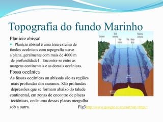 Topografia do fundo Marinho 
Planície abissal 
 Planície abissal é uma área extensa de 
fundos oceânicos com topografia suave 
a plana, geralmente com mais de 4000 m 
de profundidade1 . Encontra-se entre as 
margens continentais e as dorsais oceânicas. 
Fossa oceânica 
As fossas oceânicas ou abissais são as regiões 
mais profundas dos oceanos. São profundas 
depressões que se formam abaixo do talude 
continental, em zonas de encontro de placas 
tectônicas, onde uma dessas placas mergulha 
sob a outra. Fig3http://www.google.co.mz/url?url=http:// 
 