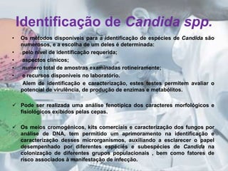 Identificação de Candida spp. 
• Os métodos disponíveis para a identificação de espécies de Candida são 
numerosos, e a escolha de um deles é determinada: 
• pelo nível de identificação requerida; 
• aspectos clínicos; 
• numero total de amostras examinadas rotineiramente; 
• e recursos disponíveis no laboratório. 
Alem de identificação e caracterização, estes testes permitem avaliar o 
potencial de virulência, de produção de enzimas e metabólitos. 
 Pode ser realizada uma análise fenotípica dos caracteres morfológicos e 
fisiológicos exibidos pelas cepas. 
 Os meios cromogênicos, kits comerciais e caracterização dos fungos por 
análise de DNA, tem permitido um aprimoramento na identificação e 
caracterização desses microrganismos, auxiliando a esclarecer o papel 
desempenhado por diferentes espécies e subespécies de Candida na 
colonização de diferentes grupos populacionais , bem como fatores de 
risco associados à manifestação de infecção. 
 