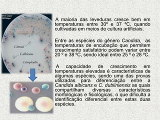 • 
• A maioria das leveduras cresce bem em 
temperaturas entre 30⁰ e 37 ⁰C, quando 
cultivadas em meios de cultura artificiais. 
• Entre as espécies do gênero Candida, as 
temperaturas de encubação que permitem 
crescimento satisfatório podem variar entre 
20 ⁰ e 38 ⁰C, sendo ideal entre 25 ⁰ e 28 ⁰C. 
• A capacidade de crescimento em 
temperaturas elevadas é características de 
algumas espécies, sendo uma das provas 
utilizadas para diferenciação entre a 
Candida albicans e C. dubliniensis as quais 
compartilham diversas características 
morfológicas e fisiológicas, o que dificulta a 
identificação diferencial entre estas duas 
espécies. 
 