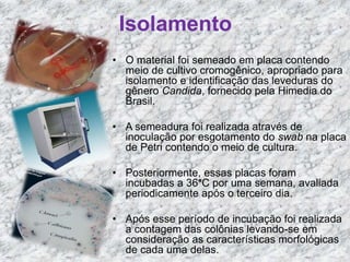 Isolamento 
• O material foi semeado em placa contendo 
meio de cultivo cromogênico, apropriado para 
isolamento e identificação das leveduras do 
gênero Candida, fornecido pela Himedia do 
Brasil. 
• A semeadura foi realizada através de 
inoculação por esgotamento do swab na placa 
de Petri contendo o meio de cultura. 
• Posteriormente, essas placas foram 
incubadas a 36°C por uma semana, avaliada 
periodicamente após o terceiro dia. 
• Após esse período de incubação foi realizada 
a contagem das colônias levando-se em 
consideração as características morfológicas 
de cada uma delas. 
 