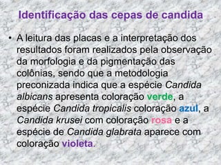 Identificação das cepas de candida 
• A leitura das placas e a interpretação dos 
resultados foram realizados pela observação 
da morfologia e da pigmentação das 
colônias, sendo que a metodologia 
preconizada indica que a espécie Candida 
albicans apresenta coloração verde, a 
espécie Candida tropicalis coloração azul, a 
Candida krusei com coloração rosa e a 
espécie de Candida glabrata aparece com 
coloração violeta. 
 