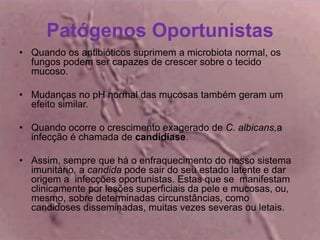 Patógenos Oportunistas 
• Quando os antibióticos suprimem a microbiota normal, os 
fungos podem ser capazes de crescer sobre o tecido 
mucoso. 
• Mudanças no pH normal das mucosas também geram um 
efeito similar. 
• Quando ocorre o crescimento exagerado de C. albicans,a 
infecção é chamada de candidíase. 
• Assim, sempre que há o enfraquecimento do nosso sistema 
imunitário, a candida pode sair do seu estado latente e dar 
origem a infecções oportunistas. Estas que se manifestam 
clinicamente por lesões superficiais da pele e mucosas, ou, 
mesmo, sobre determinadas circunstâncias, como 
candidoses disseminadas, muitas vezes severas ou letais. 
 