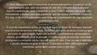 A febre chikugunya não é transmitida de pessoa para pessoa. O contágio se dá
pelo mosquito que, após um período de sete dias contados depois de picar
alguém contaminado, pode transportar o vírus CHIKV durante toda a sua vida,
transmitindo a doença para uma população que não possui anticorpos contra ele.
Por isso, o objetivo é estar atento para bloquear a transmissão tão logo apareçam
os primeiros casos.
O ciclo de transmissão ocorre do seguinte modo: a fêmea do mosquito deposita
seus ovos em recipientes com água. Ao saírem dos ovos, as larvas vivem na água
por cerca de uma semana. Após este período, transformam-se em mosquitos
adultos, prontos para picar as pessoas. O Aedes aegypti procria em velocidade
prodigiosa e o mosquito adulto vive em média 45 dias. Uma vez que o indivíduo
é picado, demora no geral de dois a 12 dias para a febre chikungunya se
manifestar, sendo mais comum cinco a seis dias.
 