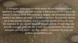 O mosquito Aedes aegypti mede menos de um centímetro, tem
aparência inofensiva, cor café ou preta e listras brancas no corpo e nas
pernas. Costuma picar, transmitindo a dengue, nas primeiras horas da
manhã e nas últimas da tarde, evitando o sol forte. No entanto, mesmo
nas horas quentes ele pode atacar à sombra, dentro ou fora de casa.
Há suspeitas de que alguns ataquem durante a noite. O indivíduo não
percebe a picada, pois não dói e nem coça no momento. Por ser um
mosquito que voa baixo - até dois metros - é comum ele picar nos
joelhos, panturrilhas e pés.
 