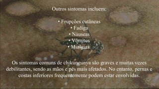 Outros sintomas incluem: 
• Erupções cutâneas 
• Fadiga 
• Náuseas 
• Vômitos 
• Mialgias. 
Os sintomas comuns de chikungunya são graves e muitas vezes 
debilitantes, sendo as mãos e pés mais afetados. No entanto, pernas e 
costas inferiores frequentemente podem estar envolvidas. 
 