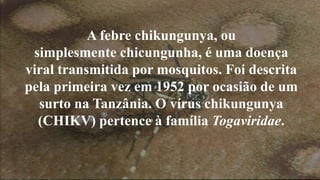 A febre chikungunya, ou 
simplesmente chicungunha, é uma doença 
viral transmitida por mosquitos. Foi descrita 
pela primeira vez em 1952 por ocasião de um 
surto na Tanzânia. O vírus chikungunya 
(CHIKV) pertence à família Togaviridae. 
 