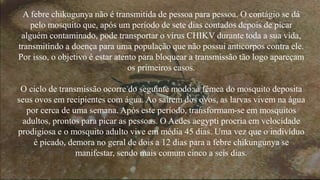 A febre chikugunya não é transmitida de pessoa para pessoa. O contágio se dá 
pelo mosquito que, após um período de sete dias contados depois de picar 
alguém contaminado, pode transportar o vírus CHIKV durante toda a sua vida, 
transmitindo a doença para uma população que não possui anticorpos contra ele. 
Por isso, o objetivo é estar atento para bloquear a transmissão tão logo apareçam 
os primeiros casos. 
O ciclo de transmissão ocorre do seguinte modo: a fêmea do mosquito deposita 
seus ovos em recipientes com água. Ao saírem dos ovos, as larvas vivem na água 
por cerca de uma semana. Após este período, transformam-se em mosquitos 
adultos, prontos para picar as pessoas. O Aedes aegypti procria em velocidade 
prodigiosa e o mosquito adulto vive em média 45 dias. Uma vez que o indivíduo 
é picado, demora no geral de dois a 12 dias para a febre chikungunya se 
manifestar, sendo mais comum cinco a seis dias. 
 
