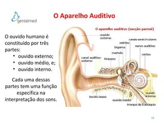 12 
O Aparelho Auditivo 
O ouvido humano é 
constituído por três 
partes: 
• ouvido externo; 
• ouvido médio, e; 
• ouvido interno. 
Cada uma dessas 
partes tem uma função 
específica na 
interpretação dos sons. 
 