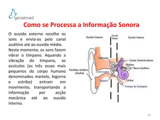 13 
Como se Processa a Informação Sonora 
O ouvido externo recolhe os 
sons e envia-os pelo canal 
auditivo até ao ouvido médio. 
Neste momento, os sons fazem 
vibrar o tímpano. Aquando a 
vibração do tímpano, os 
ossículos (os três ossos mais 
pequenos do corpo humano 
denominados martelo, bigorna 
e estribo) entram em 
movimento, transportando a 
informação por acção 
mecânica até ao ouvido 
interno. 
 