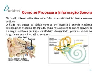 Como se Processa a Informação Sonora 
No ouvido interno estão situados a cóclea, os canais semicirculares e o nervo 
auditivo. 
O fluido nos ductos da cóclea move-se em resposta à energia mecânica 
enviada pelos ossículos. De seguida, pequenos capilares da cóclea convertem 
a energia mecânica em impulsos eléctricos transmitidos pelos neurónios ao 
longo do nervo auditivo até ao cérebro. 
14 
 