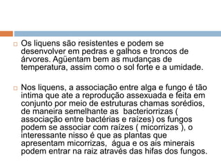 Os liquens são resistentes e podem se
desenvolver em pedras e galhos e troncos de
árvores. Agüentam bem as mudanças de
temperatura, assim como o sol forte e a umidade.
 Nos liquens, a associação entre alga e fungo é tão
intima que ate a reprodução assexuada e feita em
conjunto por meio de estruturas chamas sorédios,
de maneira semelhante as bacteriorrizas (
associação entre bactérias e raízes) os fungos
podem se associar com raízes ( micorrizas ), o
interessante nisso é que as plantas que
apresentam micorrizas, água e os ais minerais
podem entrar na raiz através das hifas dos fungos.
 