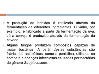  A produção de bebidas é realizada através da
fermentação de diferentes ingredientes. O vinho, por
exemplo, é fabricado a partir da fermentação da uva.
Já a cerveja é produzida através da fermentação da
cevada.
 Alguns fungos produzem compostos capazes de
matar bactérias. A partir destas substâncias são
fabricados antibióticos, como a penicilina, utilizada no
combate a doenças infecciosas causadas por bactérias
do gênero Streptococcus.
 