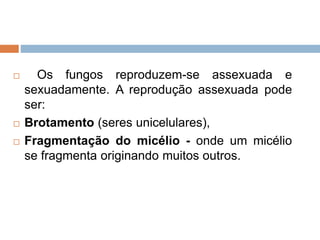  Os fungos reproduzem-se assexuada e
sexuadamente. A reprodução assexuada pode
ser:
 Brotamento (seres unicelulares),
 Fragmentação do micélio - onde um micélio
se fragmenta originando muitos outros.
 