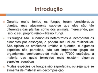 Introdução
 Durante muito tempo os fungos foram considerados
plantas, mas atualmente sabe-se que eles são tão
diferentes das plantas como dos animais, merecendo, por
isso, o seu próprio reino – Reino Fungi.
 Os fungos são eucariontes heterótrofos e incorporam os
alimentos por absorção, e podem ser uni ou multicelular.
São típicos de ambientes úmidos e quentes, e algumas
espécies são parasitas, são um importante grupo de
organismos, conhecendo-se mais de 77000 espécies, a
maioria das quais terrestres mais existem algumas
espécies aquáticas.
 Muitas espécies de fungos são saprófagas, ou seja que se
alimenta de material em decomposição.
 