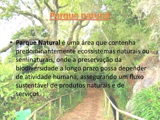 • Parque Natural é uma área que contenha
predominantemente ecossistemas naturais ou
seminaturais, onde a preservação da
biodiversidade a longo prazo possa depender
de atividade humana, assegurando um fluxo
sustentável de produtos naturais e de
serviços.
 