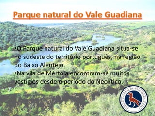 •O Parque natural do Vale Guadiana situa-se
no sudeste do território português, na região
do Baixo Alentejo.
•Na vila de Mértola encontram-se muitos
vestígios desde o período do Neolítico.
 
