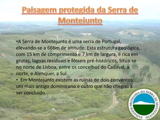 •A Serra de Montejunto é uma serra de Portugal,
elevando-se a 666m de altitude. Esta estrutura geológica,
com 15 km de comprimento e 7 km de largura, é rica em
grutas, lagoas residuais e fósseis pré-históricos. Situa-se
no norte de Lisboa, entre os concelhos do Cadaval, a
norte, e Alenquer, a Sul.
• Em Montejunto existem as ruínas de dois conventos:
um mais antigo dominicano e outro que não chegou a
ser concluído.
 