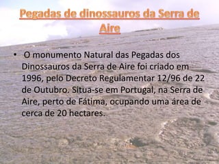 • O monumento Natural das Pegadas dos
Dinossauros da Serra de Aire foi criado em
1996, pelo Decreto Regulamentar 12/96 de 22
de Outubro. Situa-se em Portugal, na Serra de
Aire, perto de Fátima, ocupando uma área de
cerca de 20 hectares.
 