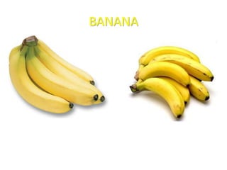 BANANA
 