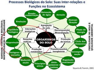 Processos Biológicos do Solo: Suas Inter-relações e
Funções no Ecossistema
Siqueira & Trannin, 2003
 