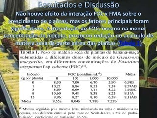 controle integrado de doenca de banana