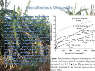 controle integrado de doenca de banana