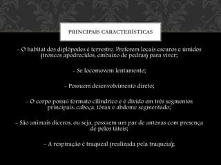 - O habitat dos diplópodes é terrestre. Preferem locais escuros e úmidos
(troncos apodrecidos, embaixo de pedras) para viver;
- Se locomovem lentamente;
- Possuem desenvolvimento direto;
- O corpo possui formato cilíndrico e é divido em três segmentos
principais: cabeça, tórax e abdome segmentado;
- São animais díceros, ou seja, possuem um par de antenas com presença
de pelos táteis;
- A respiração é traqueal (realizada pela traqueia);
PRINCIPAIS CARACTERÍSTICAS
 