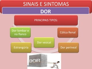 SINAIS E SINTOMAS
DOR
PRINCIPAIS TIPOS:
Cólica Renal
Dor perinealEstrangúria
Dor vesical
Dor lombar e
no flanco
 