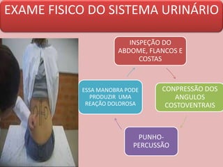EXAME FISICO DO SISTEMA URINÁRIO
INSPEÇÃO DO
ABDOME, FLANCOS E
COSTAS
CONPRESSÃO DOS
ANGULOS
COSTOVENTRAIS
PUNHO-
PERCUSSÃO
ESSA MANOBRA PODE
PRODUZIR UMA
REAÇÃO DOLOROSA
 