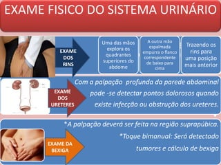 EXAME FISICO DO SISTEMA URINÁRIO
EXAME DOS RINS
•
Com a palpação profunda da parede abdominal
pode -se detectar pontos dolorosos quando
existe infecção ou obstrução dos ureteres.
•
*A palpação deverá ser feita na região suprapúbica.
*Toque bimanual: Será detectado
tumores e cálculo de bexiga
Uma das mãos
explora os
quadrantes
superiores do
abdome
A outra mão
espalmada
empurra o flanco
correspondente
de baixo para
cima
Trazendo os
rins para
uma posição
mais anterior
EXAME
DOS
RINS
EXAME
DOS
URETERES
EXAME DA
BEXIGA
 