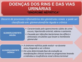 DOENÇAS DOS RINS E DAS VIAS
URINÁRIAS
Decorre de processos inflamatórios dos glomérulos renais e pode ser
classificado em: glomerulonefrite Aguda e crônica
• Caracterizada pelo aparecimento súbito de urina
escura, hipertensão arterial, edema e azetomia.
• Causada por infecções bacterianas (ex:sífiles) e
anticorpos circulantes que lesam a membrana
glomerular
GLOMERULONEFRITE
AGUDA
• A síndrome nefrítica pode evoluir –se durante
anos,chegando a ser crônica
• Em uma determinada fase da evolução as
manifestações clínicas tornam-se progressivas levando
o indivíduo a insuficiência renal crônica terminal
GLOMERULONEFRITE
CRÔNICA
*SÍNDROME NEFRÍTICA*
 