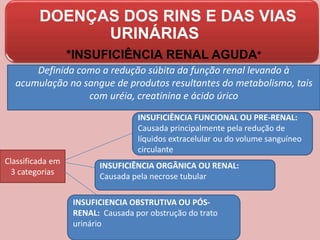 DOENÇAS DOS RINS E DAS VIAS
URINÁRIAS
*INSUFICIÊNCIA RENAL AGUDA*
Definida como a redução súbita da função renal levando à
acumulação no sangue de produtos resultantes do metabolismo, tais
com uréia, creatinina e ácido úrico
Classificada em
3 categorias
INSUFICIÊNCIA FUNCIONAL OU PRE-RENAL:
Causada principalmente pela redução de
líquidos extracelular ou do volume sanguíneo
circulante
INSUFICIÊNCIA ORGÂNICA OU RENAL:
Causada pela necrose tubular
INSUFICIENCIA OBSTRUTIVA OU PÓS-
RENAL: Causada por obstrução do trato
urinário
 