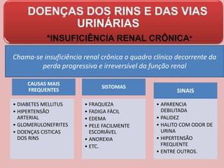 DOENÇAS DOS RINS E DAS VIAS
URINÁRIAS
*INSUFICIÊNCIA RENAL CRÔNICA*
Chama-se insuficiência renal crônica o quadro clínico decorrente da
perda progressiva e irreversível da função renal
CAUSAS MAIS
FREQUENTES
• DIABETES MELLITUS
• HIPERTENSÃO
ARTERIAL
• GLOMERULONEFRITES
• DOENÇAS CISTICAS
DOS RINS
SISTOMAS
• FRAQUEZA
• FADIGA FÁCIL
• EDEMA
• PELE FACILMENTE
ESCORIÁVEL
• ANOREXIA
• ETC.
SINAIS
• APARENCIA
DEBILITADA
• PALIDEZ
• HALITO COM ODOR DE
URINA
• HIPERTENSÃO
FREQUENTE
• ENTRE OUTROS.
 