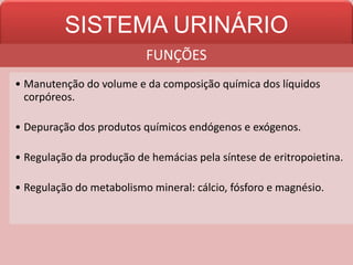 SISTEMA URINÁRIO
FUNÇÕES
• Manutenção do volume e da composição química dos líquidos
corpóreos.
• Depuração dos produtos químicos endógenos e exógenos.
• Regulação da produção de hemácias pela síntese de eritropoietina.
• Regulação do metabolismo mineral: cálcio, fósforo e magnésio.
 