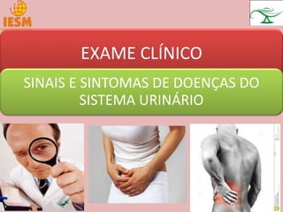 EXAME CLÍNICO
SINAIS E SINTOMAS DE DOENÇAS DO
SISTEMA URINÁRIO
 