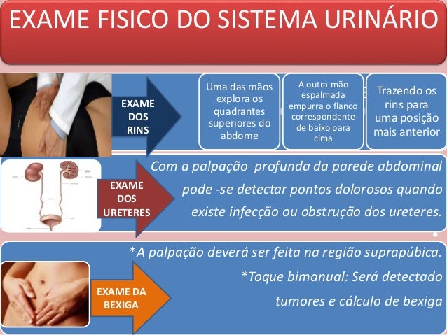 Exame de rins