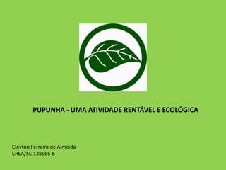 PUPUNHA - UMA ATIVIDADE RENTÁVEL E ECOLÓGICA
Cleyton Ferreira de Almeida
CREA/SC 128965-6
 