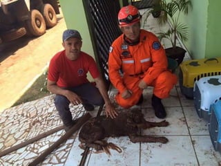 Apresentação Bacia Rio Doce 