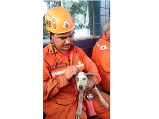Apresentação Bacia Rio Doce 
