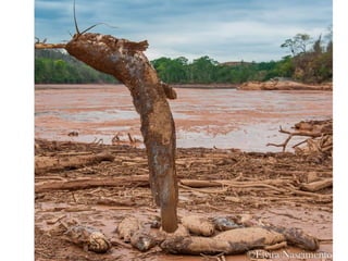 Apresentação Bacia Rio Doce 