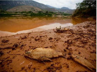 Apresentação Bacia Rio Doce 